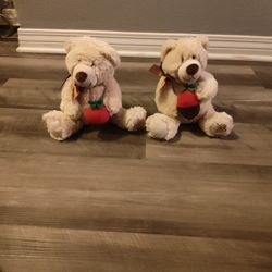 Plush Bear