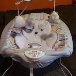 Fisher Price Baby Bouncer 
