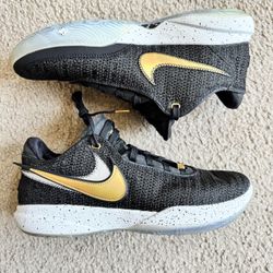 Nike LeBron 20 XX size 11