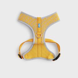Kith dog Harness