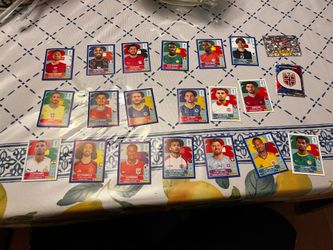 Panini Fifa World Cup Stickers