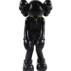 Kaws Companion