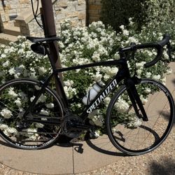 Specialized Bike