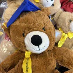 Graduation Teddy Bears 🧸 Wholesale Prices 
