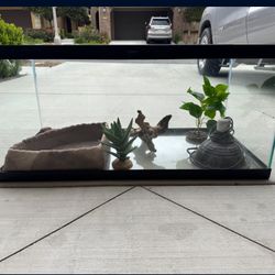 Reptile Tank, Turtle, Tortoise Aquarium. UV light. 