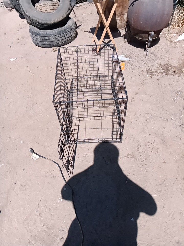Dog Cage