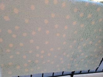 4x5 Light Blue With White Dots Rug $30