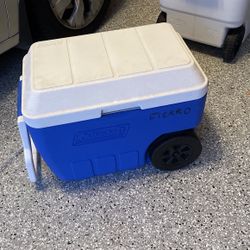 Cooler
