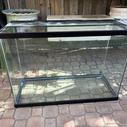 60 Gallon Fish Tank With Filter (Fish Tank Stand)