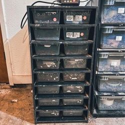 C Serpents Hatchling Rack w/ Heat & Thermostat