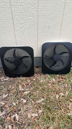 Fans