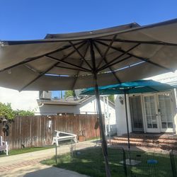Umbrella 