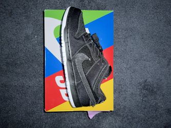 Nike Sb 10.5