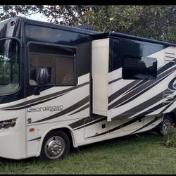 2015 Forest River Georgetown .