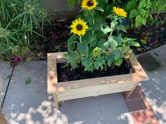 Handmade plants stand serious inquires no bargain