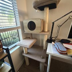 Cat Tower