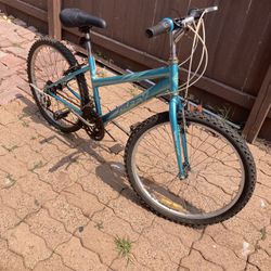 Nice Used Safed Up Bike $50 