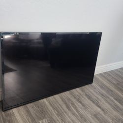 Vizio 60" TV 