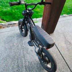 Freego Mini Electric Dirt Bike for Adults 800W (Peak) Motor/48V/10.4Ah, 16" x3 Fat Tire Off Road Electric Motorcycle 31mph