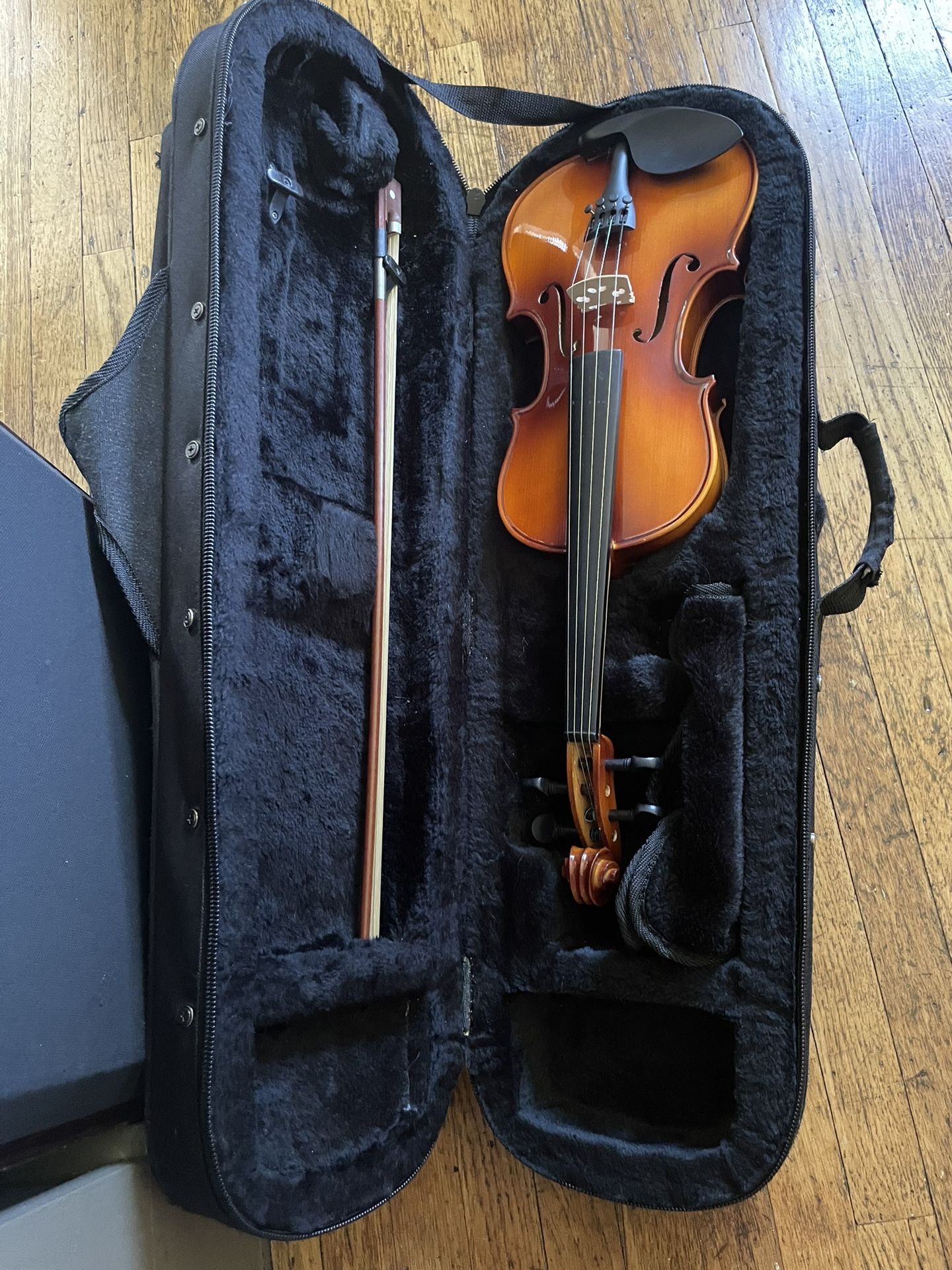 Beginner Violin