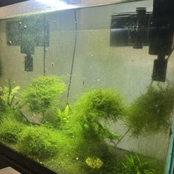 Acuario De 30 Galones 