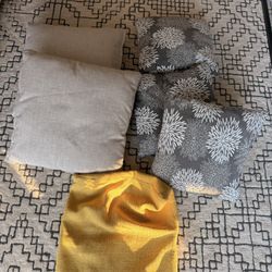 Free Throw Pillows And One Pillowcase Cover