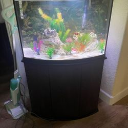 Fish Tank