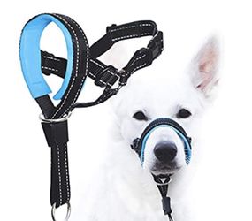 Dog Head Halter- GoodBoy