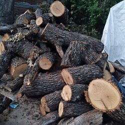 Oakwood $50 A Pickup Load 