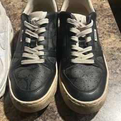 Nike And Coach Shoes 