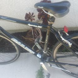 Great Bike Light Weight Fast 