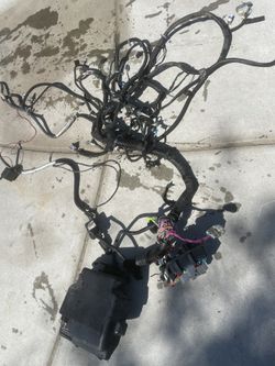 5.3 Wire Harness