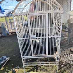 Bird Cage 