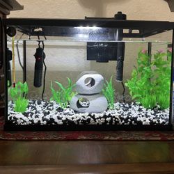 5 Gallon Fish Tank