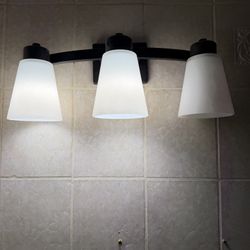 Bathroom vanity light
