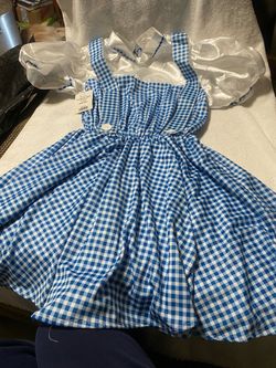 Girls Blue Gingham Dorothy Costume Dress