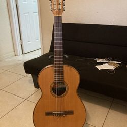 Giannini  Brasileña Acústica 