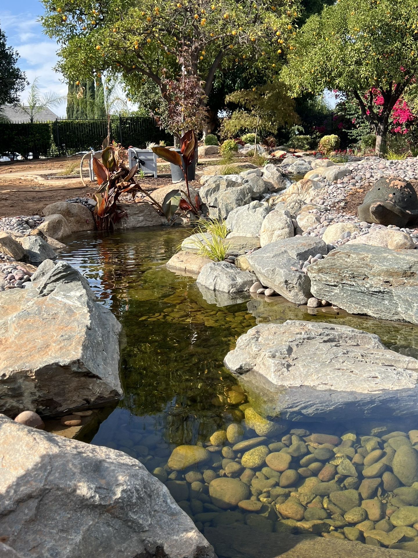 Custom Water Feature