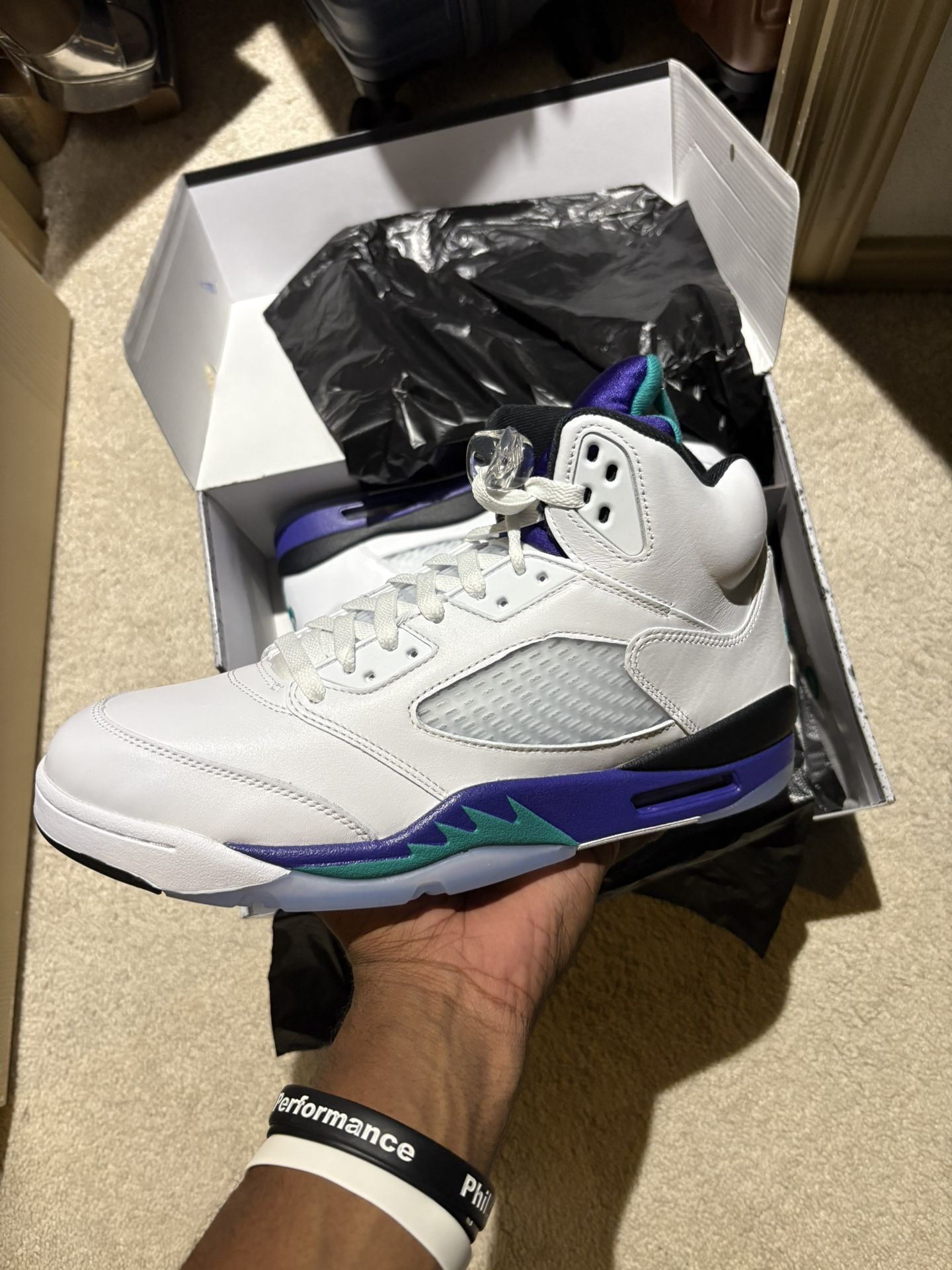 Retro Air Jordan 5 Grape 2025