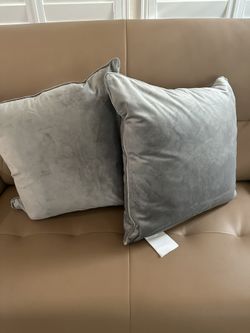 Grey Decor Pillows 