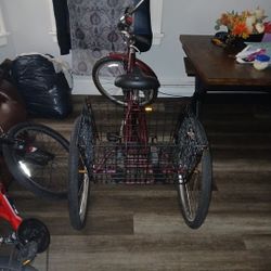 Meridian 3 Wheel Bike