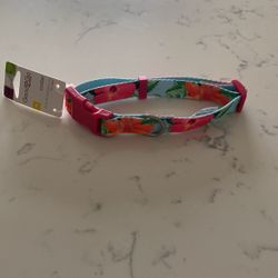 Dog Collars 