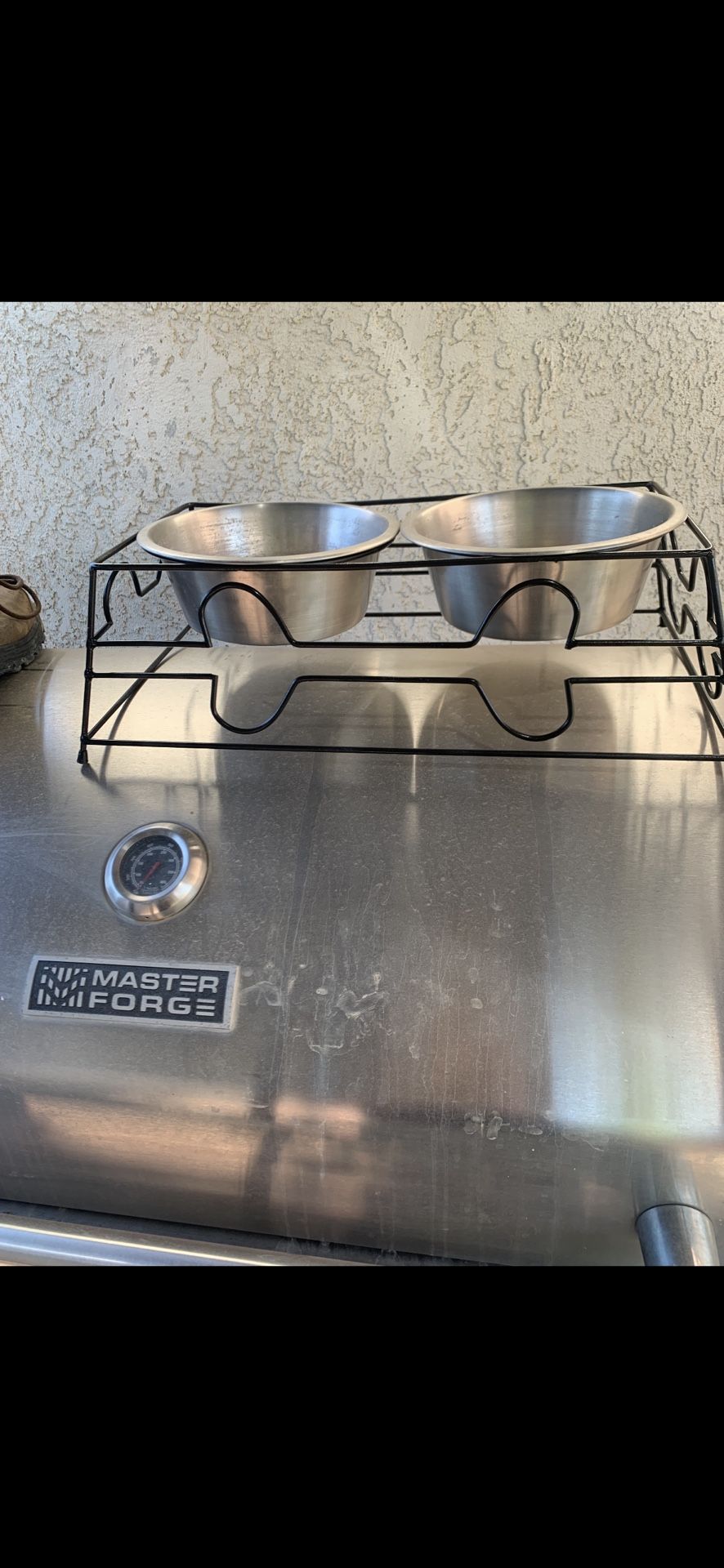 Dog Bowls