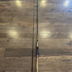Rogue Rods 12’ Fishing Rod
