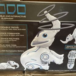 Codo Programanle And Interactive