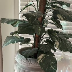 Silk plants with planter