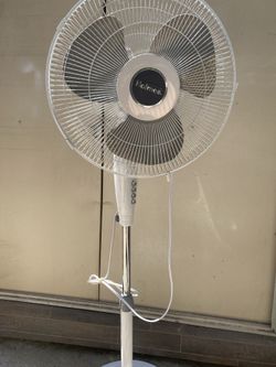 Fan