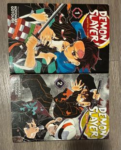 Demon slayer manga