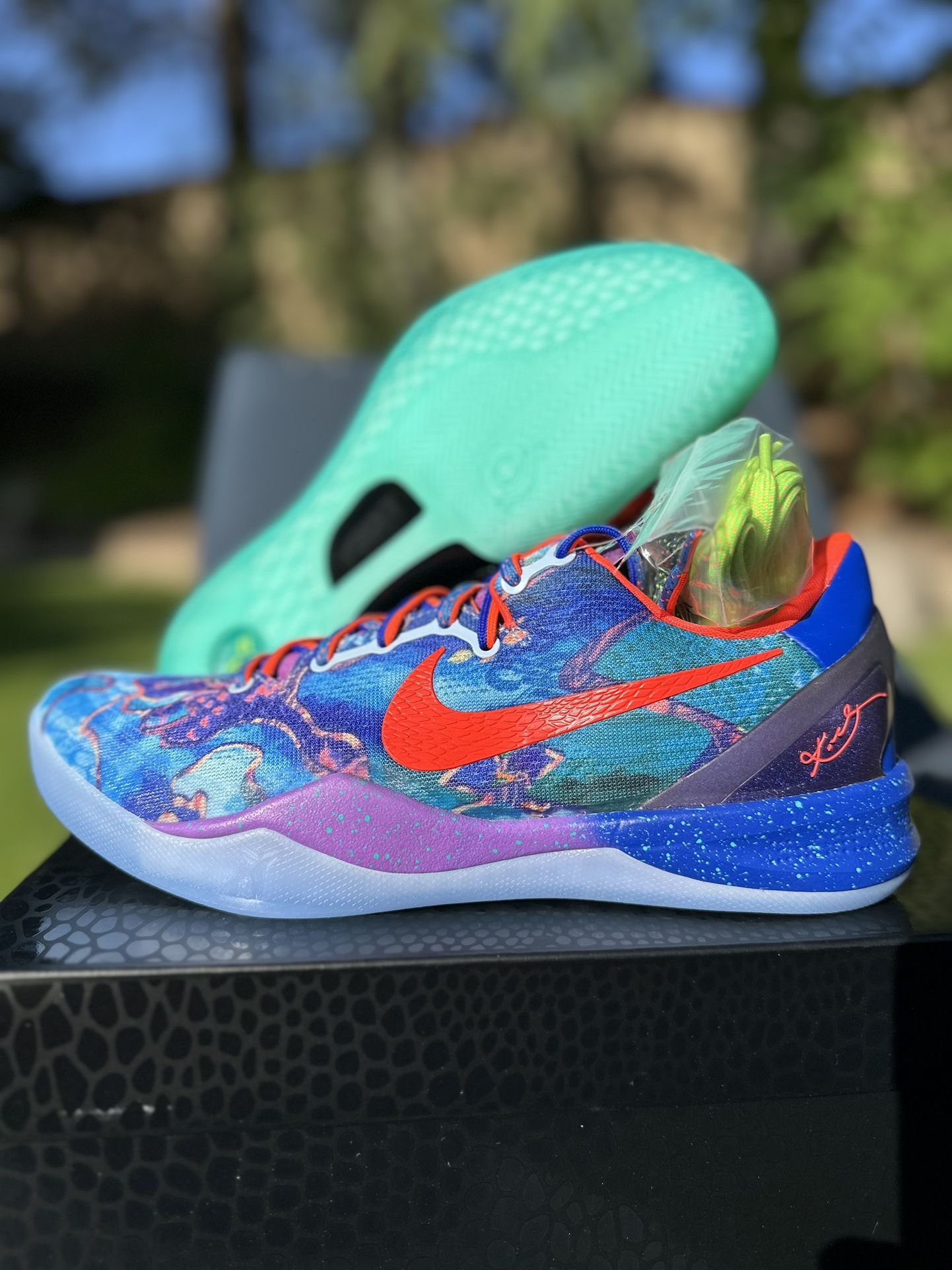 Nike What The Kobe Protro 8