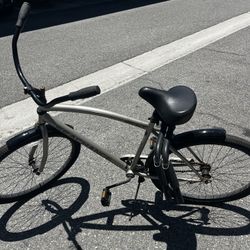 SeaChange Bicycle 